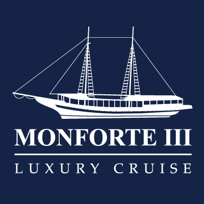 305488531_460389972771125_5695771529749675396_n